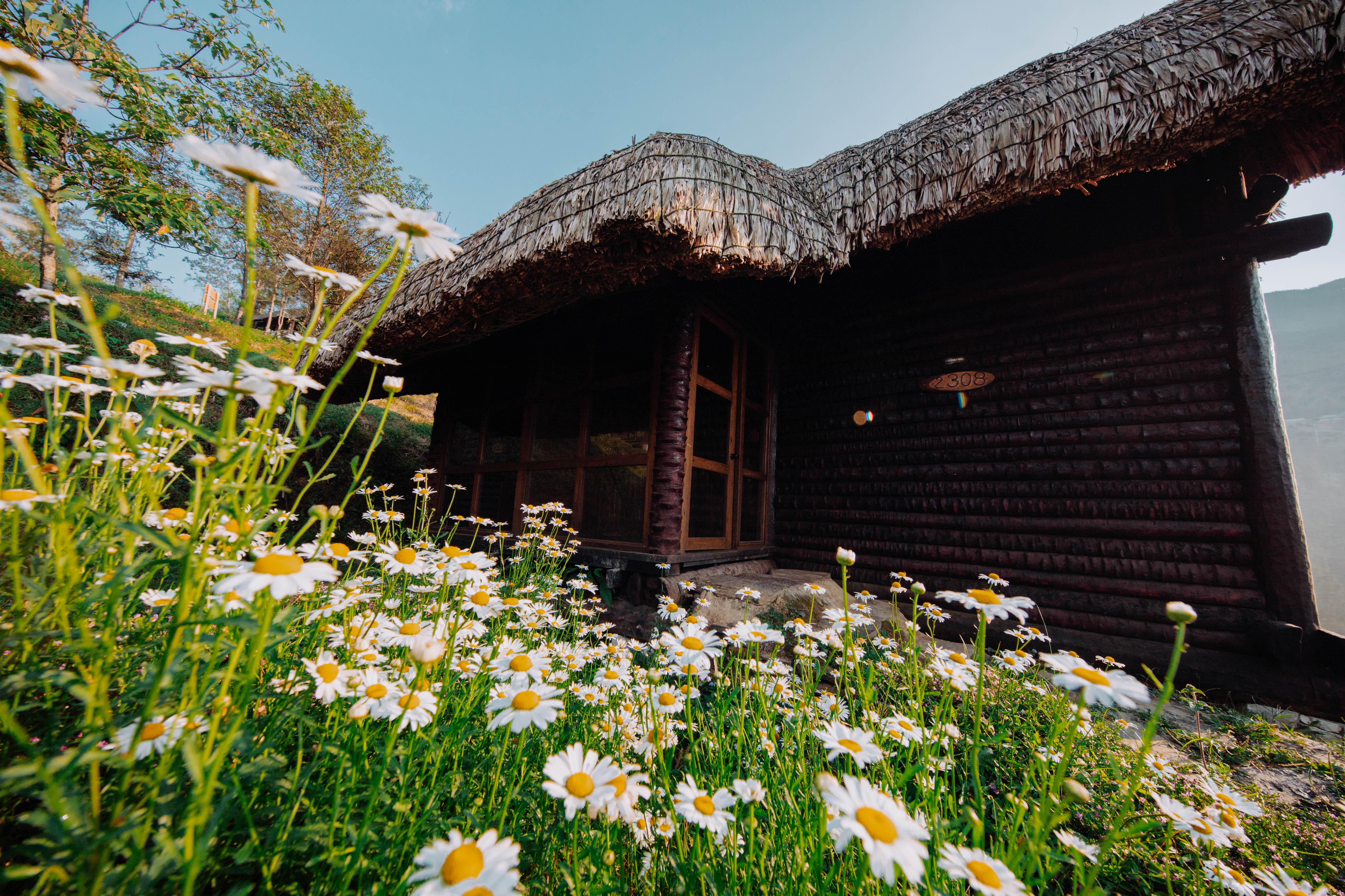 Sapa Jade Hill Resort & Spa Exterior foto